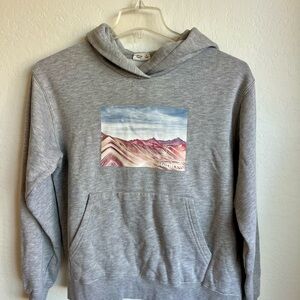 tentree Gray Hoodie with Mountain Print